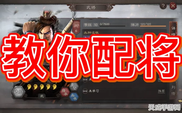 三国志战略版深度解析，虎臣弓加点攻略与实战运用