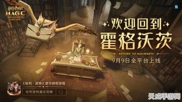 哈利波特魔法觉醒，揭秘幽谧深林30层登顶秘籍，挑战极限的必胜策略