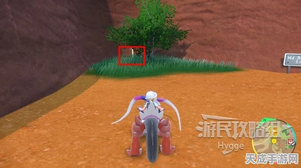 宝可梦朱紫，解锁强力招式，揭秘招式学习机器高效获取攻略