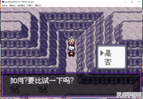 口袋妖怪漆黑魅影，解锁第二周目全攻略，挑战升级！