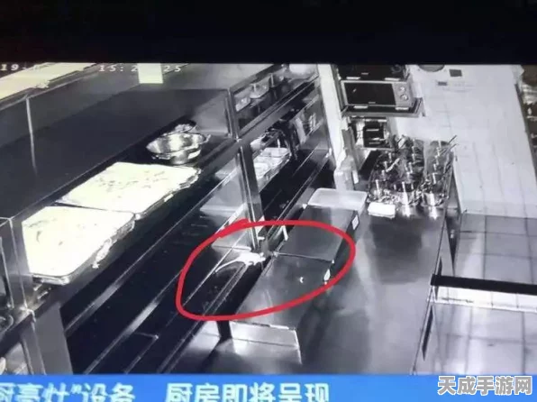 猫和老鼠手游新角色揭秘，外婆的宠爱之选究竟是谁？