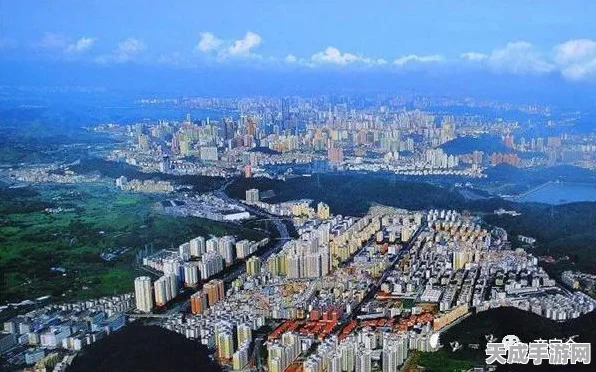 方舟生存进化，揭秘静心膏的隐藏力量，助你称霸史前世界！