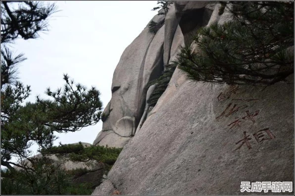 绝区零角色对决，猫又与音擎谁更胜一筹？（深度解析猫宫又奈与音擎选择策略）