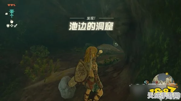 塞尔达传说，揭秘蝙蝠眼珠的获取途径与游戏深度探索