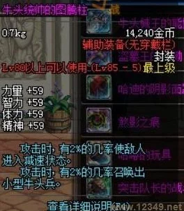 DNF 2025，热门职业技能+2最贵选项深度剖析与前瞻