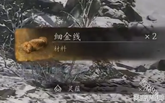 黑神话，悟空细金线高效获取攻略，解锁游戏新境界