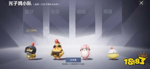 和平精英萌宠同框秘籍，解锁与宠物拍照的趣味玩法