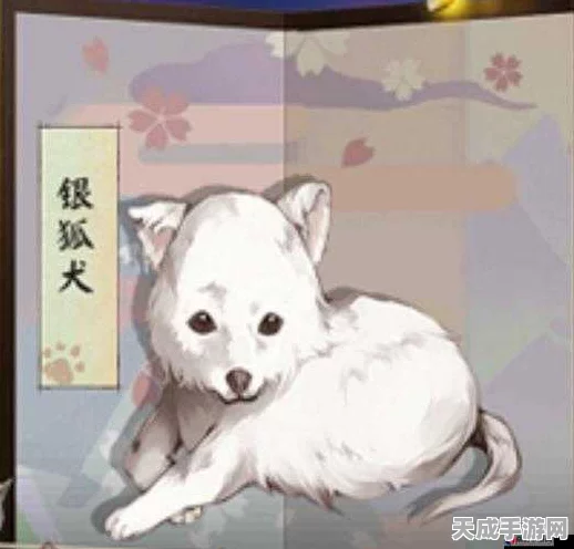 银狐犬降临！阴阳师银狐犬获取攻略大揭秘