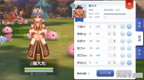 仙境传说RO，打造顶尖赞美神官，装备选择全攻略