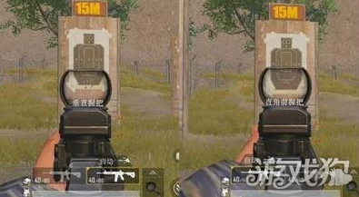 鲨鱼丸制霸超维战场，深度解析技能加点与实战策略