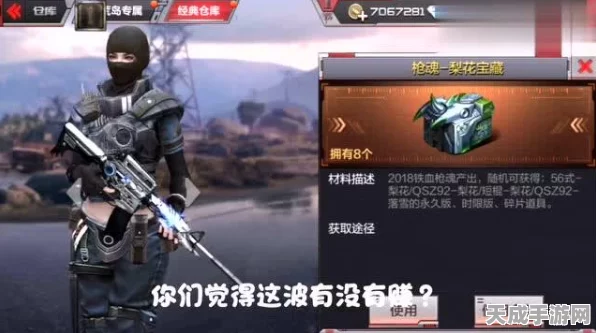 2025辐射4，玩家票选最帅套装与武器搭配，揭秘新宠组合