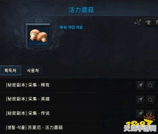 揭秘失落的方舟，高效搬砖攻略与金币收益详解