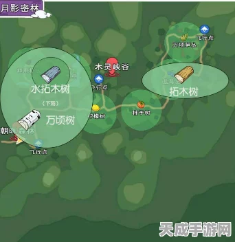 小森生活探索指南，揭秘香脂漆夜树刷新位置与采集攻略