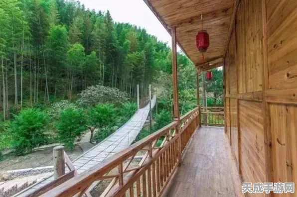 桃源深处有人家，新手礼包领取全攻略，解锁隐藏福利秘籍