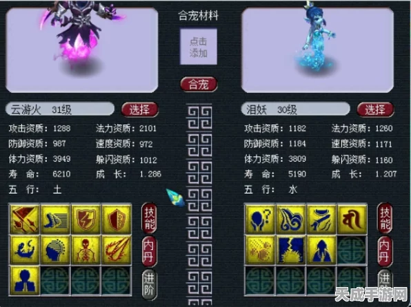 宝可梦大集结，阿勃梭鲁竞技场霸主之路——顶尖道具搭配策略