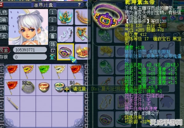 宝可梦大集结，阿勃梭鲁竞技场霸主之路——顶尖道具搭配策略
