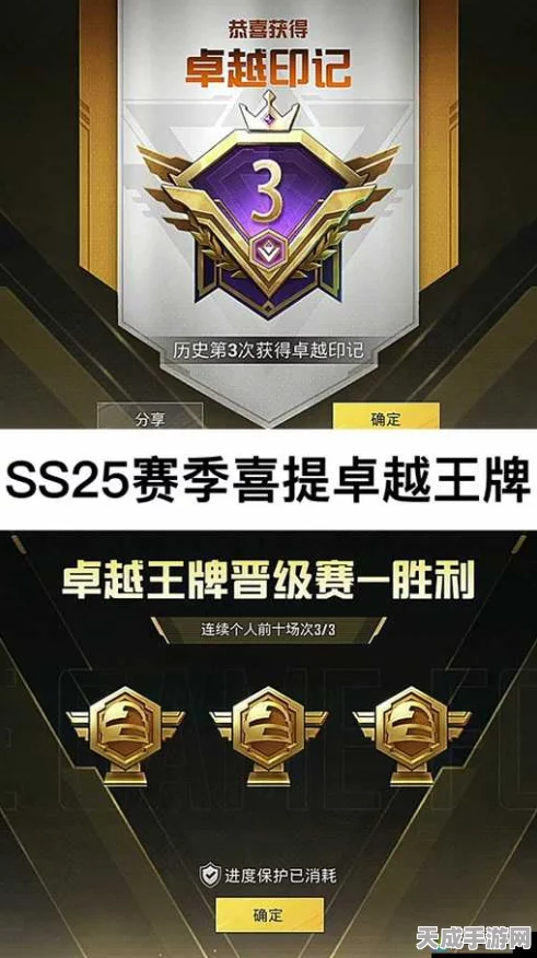和平精英印记全攻略，解锁荣耀之路与高效升级秘籍