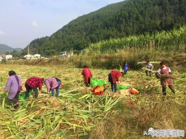 我的世界甘蔗种植秘籍，打造甜蜜农场，赢取专属成就！