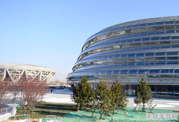 火炬之光，无限国服上线倒计时，精彩赛事细节抢先看！