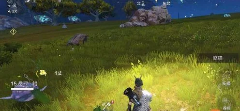 妄想山海，揭秘青叶神秘刷新点，助你征服山海世界！