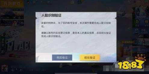和平精英频繁人脸验证烦恼多？实用解决方案大揭秘！